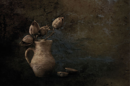 tiché zátiší / quiet still life