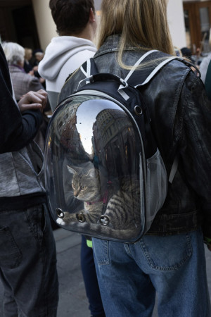 na výletě / on a trip