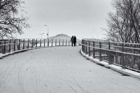 zimní motiv / winter theme