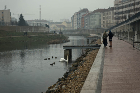 sychravý den / chilly day