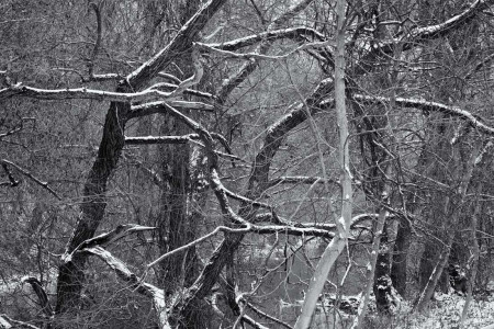 zborcené fraktály / collapsed fractals