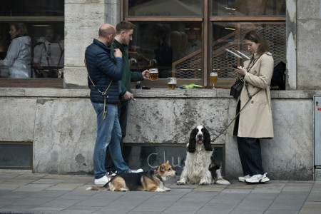 pejsci a pivo / dogs and beer