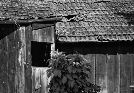 okénko / window