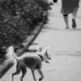 /album/cb-svet-bw-world/260725-22-jpg/