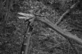 /album/cb-svet-bw-world/070526-1-jpg/