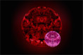 /album/abstrakce-experiment/150526-0-jpg/
