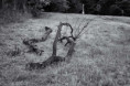 /album/cb-svet-bw-world/130726-2-jpg/