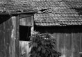 /album/cb-svet-bw-world/120926-10-jpg/
