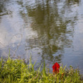 /album/detail-makro/180926-11-jpg/